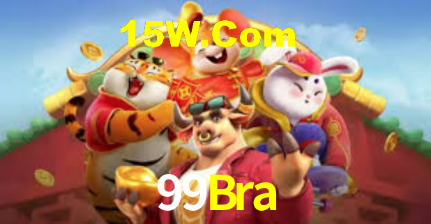 99Bra - Installation Guide